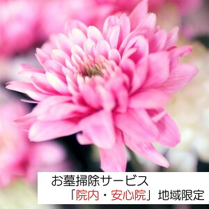 yӂ邳Ɣ[Łz|T[rX(Fs@AS@)| | s  ny107200100zyNPO@l@X|[cNuO[gT}_[z