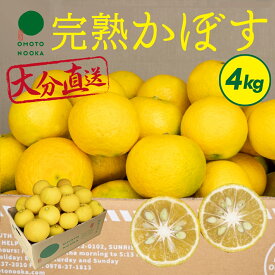 【ふるさと納税】＜先行予約受付中！2024年11月中旬から順次発送予定＞完熟かぼす(約4kg)かんきつ 柑橘 期間限定 おもとの丘【111300401】【未来農林】