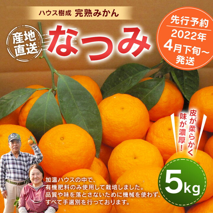 楽天市場 ふるさと納税 先行予約 ハウス樹成完熟みかん なつみ 5kg 糖度 14 16度 22年4月下旬発送予定 樹上完熟 みかん ミカン 果物 くだもの フルーツ 春 大分県産 宇佐市産 手選別 手作業 栽培期間中 化学肥料不使用 冷蔵 送料無料 大分県宇佐市