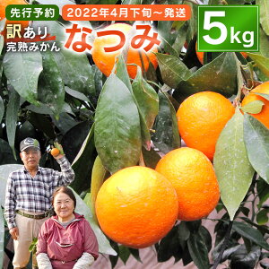 春 果物 みかんの人気商品 通販 価格比較 価格 Com