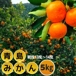 yӂ邳Ɣ[Łzs\tI2026N1{菇\聄 ݂ (5kgE⏞0.3kg) ݂ ~J  k t[c ʕ  ʎ _ y109800400zy@