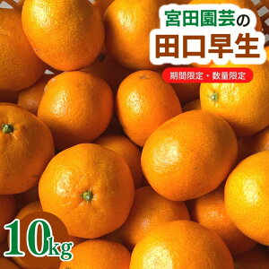 yӂ邳Ɣ[Łz111stJnA12ȍ~c(10kg)݂  t[c ʕ  k Ԍy112300202zy{c|z