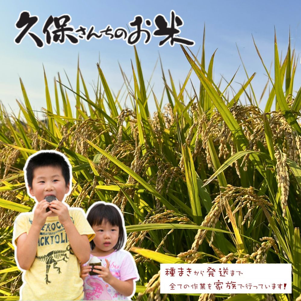 【数量限定】特別栽培米 ヒノヒカリ 米 減農薬 新米 令和5年度米 白米 玄米 真空パック 真空 定期便 お米 送料無料
