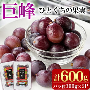 yӂ邳Ɣ[ŁzЂƂ̉ʎ (v600gE300g×2pbN)Y Ԃǂ  t[c ʕ  ʎy100702200zy{ct@~[Ԃǂz