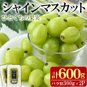 yӂ邳Ɣ[ŁzЂƂ̉ʎ VC}XJbg(v600gE300g×2pbN)Y Ԃǂ  t[c ʕ  ʎy100702300zy{ct@~[Ԃǂz