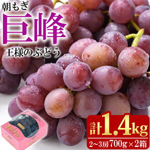 yӂ邳Ɣ[Łz܂̂Ԃǂ  (v1.4kgE700g×2pbN)Y Ԃǂ  t[c ʕ  ʎ Zbgy100702400zy{ct@~[Ԃǂz