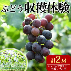 yӂ邳Ɣ[Łzs\tIԂǂň(1[AVC}XJbg1[)̌ ň  VC}XJbg Ԃǂ  t[c ʕ ́y100702700zy{ct@
