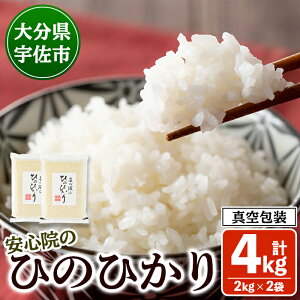 yӂ邳Ɣ[Łz S@̂Ђ̂Ђ  ^ (v4kgE2kg×2)   Ђ̂Ђ qmqJ   ^pbN 啪Yy101201201zySayz