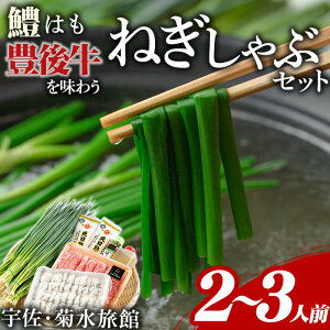 yӂ邳Ɣ[Łz˂(6i)˂ Ԃ L㋍  ͂   Zbgy101500301zyeفz