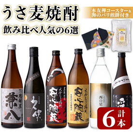 【ふるさと納税】うさ 麦焼酎 飲み比べ 人気の6選(合計4.86L・6本+10g)兼八・久保・安心院蔵・安心院蔵黒麹・西の星・爲ゝ(ためしてん) 酒 お酒 むぎ焼酎 煎餅 せんべい おつまみ付き アルコール 飲料 常温 セット【101601401】【江戸心本館USA　未来ファクトリー事業部】