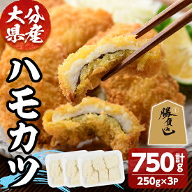 【ふるさと納税】ハモカツ(計750g・250g×3P) 鱧 はも 冷凍 惣菜 カツ 揚げるだけ フライ おかず 勝負めし 【101900600】【上野水産】