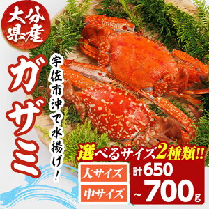 �y�ӂ邳�Ɣ[�Łz���T�C�Y���I�ׂ�I������������(�v650g~700g�E��T�C�Yor���T�C�Y) �I �{�C�� �C�N ���� �Ⓚ �y101901900�E101902000�z�y��쐅�Y�z