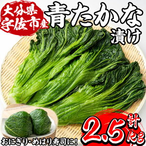 yӂ邳Ɣ[ŁzƔ_͔| ȒЂ(2.5kg)  ߂񍂍 Е Ђ т̂ ɂ Ɣ_ 啪Yy103200100zy{Еz