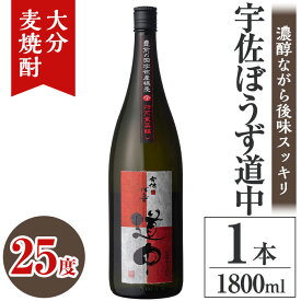 【ふるさと納税】宇佐ぼうず道中 ビン 25度(1.8L)酒 お酒 むぎ焼酎 1800ml 麦焼酎 アルコール 飲料 常温【106101900】【酒のひろた】