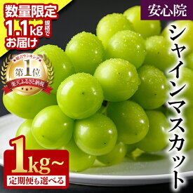 返礼品のイメージ