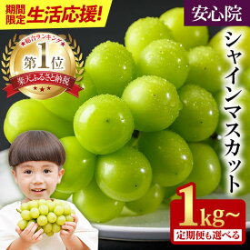 【ふるさと納税】【2026年 先行予約】 大粒 シャインマスカット 1kg以上(2房) / 2kg以上(3~5房) ＜2026年8月下旬から順次発送予定＞ フルーツ 果物 くだもの マスカット ぶどう【106300101】【大分県農業協同組合 北部エリア】