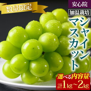 yӂ邳Ɣ[Łz VC}XJbg ͔|Iׂe (1kg`2kg)s\t 2026N8{珇\聄kC  zs Ԃǂ  y106300301E106300600z