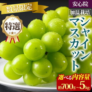 yӂ邳Ɣ[ŁzIVC}XJbg ͔|(700gE5kg)VC}XJbg Ԃǂ  t[c ʕ s\tI2026N8{珇\聄kCAAz