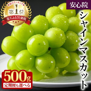 yӂ邳Ɣ[Łz VC}XJbg (500g×1E3) Ԃǂ  t[c ʕ  s\tI2026N8{珇\聄 kCAAzsy106300800E2