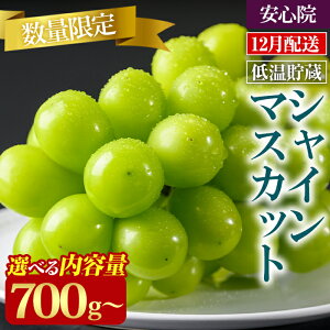 yӂ邳Ɣ[Łz VC}XJbg Iׂe (700g`5kg)s\t 2025N12{珇\聄kC  zs Ԃǂ  y106301000E106301100E1063012