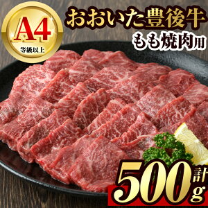 yӂ邳Ɣ[ŁzL㋍  ē(500g)   Ă o[xL[ BBQ Zbg Ⓚ Y 啪Yy106401200zy܂ЂŁz