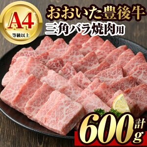 yӂ邳Ɣ[ŁzL㋍ Op o ēp(600g)  o[xL[ Ⓚ Y a 啪Yy106401800zy܂ЂŁz