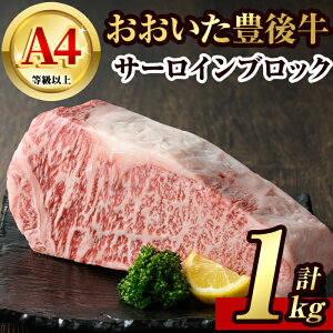 yӂ邳Ɣ[ŁzL㋍T[CubN(1kg)  L㋍ T[C ubNy106402600zy܂ЂŁz