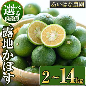 【ふるさと納税】＜内容量が選べる＞＜2025年8月上旬〜2026年2月下旬ごろ順次発送予定＞露地カボス(約2〜14kg) かぼす カボス 柑橘 特産品 大分県産【107100102】【あいはな農園】