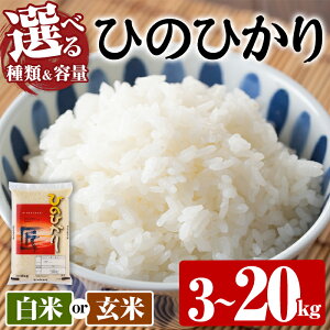 yӂ邳Ɣ[Łzs\tI2025N10{菇\聄ށEeʂIׂIߘa7NYEVāЂ̂Ђ   (v3kg`20kg)  ͂ сy107101001E107101101E