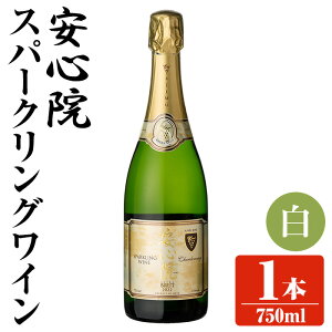 yӂ邳Ɣ[ŁzS@Xp[NOC (750ml)  C C Xp[NOC AR[  Ԃǂ  y107300501zy}Xz