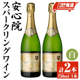【ふるさと納税】安心院スパークリングワイン 白(計1.5L・750ml×2本)酒 お酒 ワイン 白ワイン スパークリングワイン ぶどう 葡萄 【107302602】【時枝酒店】