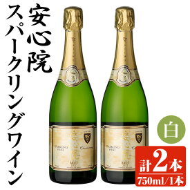 【ふるさと納税】安心院スパークリングワイン 白(計1.5L・750ml×2本)酒 お酒 ワイン 白ワイン スパークリングワイン ぶどう 葡萄 【107302602】【時枝酒店】