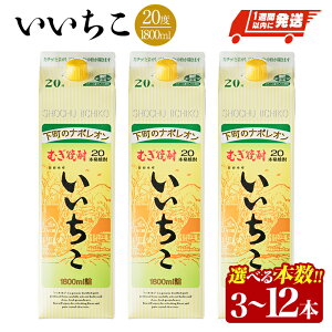 yӂ邳Ɣ[Łz{IׂI  20x 1800ml pbN(3{E4{E5{E8{E10{E12{)  ނĒ Ē 퉷  Oa pbN Xs[h y107304901zy}