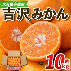 yӂ邳Ɣ[Łzs\tI11{菇\聄g݂(10kg)݂ ~J  k t[c ʕ  ʎy108600101zyt[ch˔z