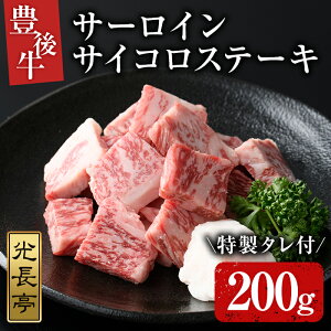 yӂ邳Ɣ[ŁzL㋍ T[CTCRXe[LZbg  ^t(200g+250ml)  ē̂ T[CXe[Ly109900100zyVbsOXgA[z