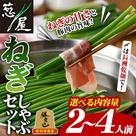【ふるさと納税】＜内容量が選べる！＞鉄板バル葱屋の ねぎしゃぶセット(2〜4人前)ねぎしゃぶ しゃぶしゃぶ 豚肉 ぶた肉 ぶたにく お肉 鍋セット 乾麺 出汁 だし ポン酢 勝負めし 【110700500・110700800】【葱屋おおくぼ】