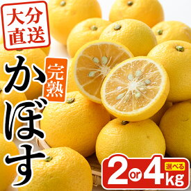 【ふるさと納税】＜先行予約受付中！2026年11月上旬以降順次発送予定＞＜容量を選べる！＞完熟かぼす (約2kg or 4kg) かんきつ 柑橘 期間限定 おもとの丘【111300300・111300401】【未来農林】