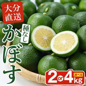 【ふるさと納税】＜先行予約受付中！2026年8月下旬以降順次発送予定＞＜容量を選べる！＞おもとの丘の種なしかぼす (約2kg or 4kg) 柑橘 かんきつ カボス 種無し 期間限定【111300800・111300900】【未来農林】