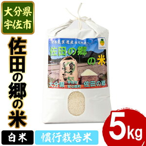 yӂ邳Ɣ[ŁzVāEߘa7NYc̋̕ s͔|(5kg)   ͂ qmqJ Ђ̂Ђ uh 퉷 퉷ۑy111700104zyݒuvWFNg@c̋̉z