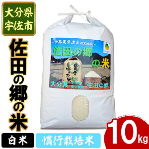 yӂ邳Ɣ[ŁzVāEߘa7NYc̋̕ s͔|(10kg)   ͂ qmqJ Ђ̂Ђ uh 퉷 퉷ۑy111700204zyݒuvWFNg@c̋̉z