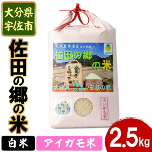 yӂ邳Ɣ[ŁzVāEߘa7NYc̋̕ ACK(2.5kg)  ͂ qmqJ Ђ̂Ђ uh 퉷 퉷ۑy111700403zyݒuvWFNg@c̋̉z