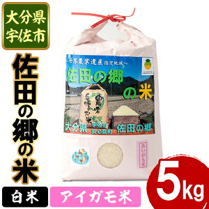【ふるさと納税】<新米・令和7年産>佐田の郷の米 アイガモ米(5kg)お米 白米 ごはん ヒノヒカリ ひのひかり ブランド米 常温 常温保存【111700503】【雅設置プロジェクト 佐田の郷の会】