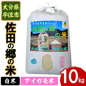 yӂ邳Ɣ[ŁzVāEߘa7NYc̋̕ ACK(10kg)  ͂ qmqJ Ђ̂Ђ uh 퉷 퉷ۑy111700604zyݒuvWFNg@c̋̉z