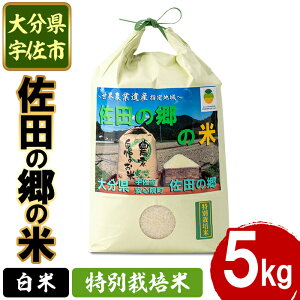 【ふるさと納税】<新米・令和7年産>佐田の郷の米 特別栽培米(5kg)お米 白米 ごはん ヒノヒカリ ひのひかり ブランド米 常温 常温保存【111700704】【雅設置プロジェクト 佐田の郷の会】