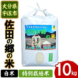 yӂ邳Ɣ[ŁzVāEߘa7NYc̋̕ ʍ͔|(10kg)  ͂ qmqJ Ђ̂Ђ uh 퉷 퉷ۑy111700804zyݒuvWFNg@c̋̉z