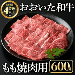 yӂ邳Ɣ[Łzaēp(600g)  ₫ɂy112101500zy~[gNXgz