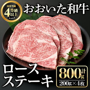 yӂ邳Ɣ[Łza[XXe[L(v800gE200g×4)  Xe[Ly112102400zy~[gNXgz