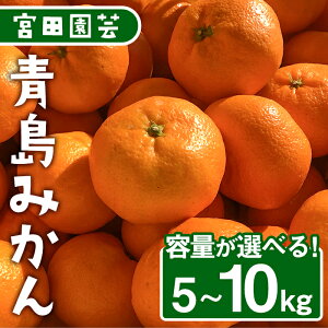 yӂ邳Ɣ[Łz2025N121stJnA2026N1ȍ~eʂIׂI݂(5`10kgEM`3L)݂  t[c ʕ  k Ԍy112300301E112300401E112300