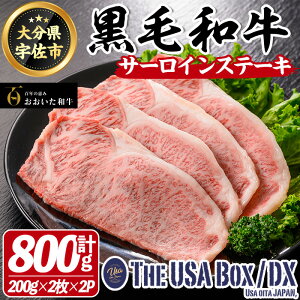 yӂ邳Ɣ[Łza T[CXe[L THE USA Box/DX(v800gE200g×2×2P)  јa A4 y114004101zyʎВc@l@n揤USAz