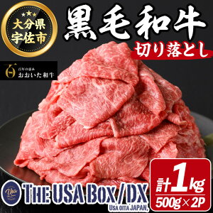 yӂ邳Ɣ[Łza ؂藎Ƃ THE USA Box/DX(500g×2P)  јa A4 y114004301zyʎВc@l@n揤USAz